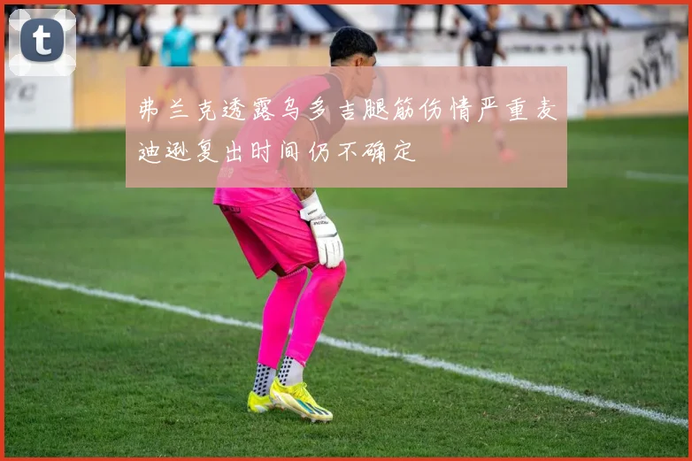 弗兰克透露乌多吉腿筋伤情严重麦迪逊复出时间仍不确定