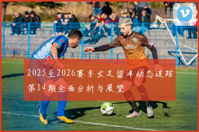 2025至2026赛季女足留洋动态追踪第14期全面分析与展望
