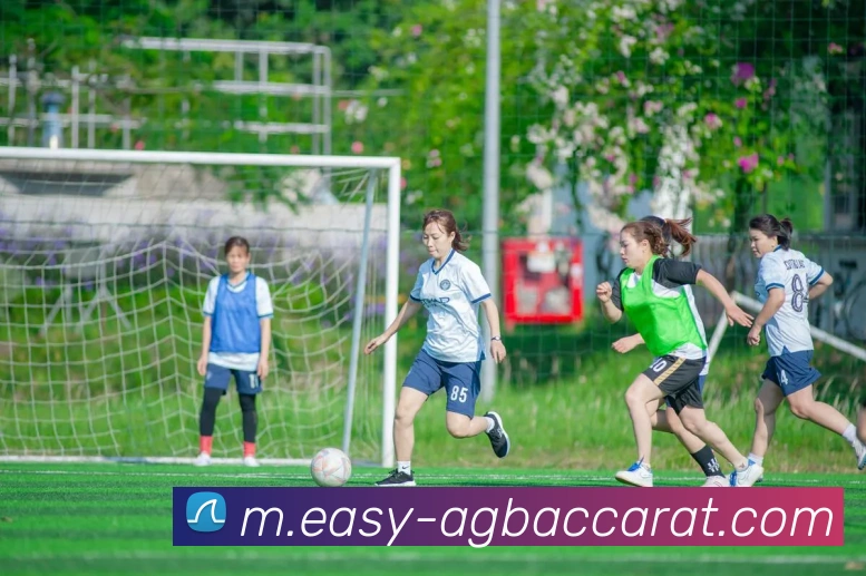 AG百家乐APP 体育赛事宣传图